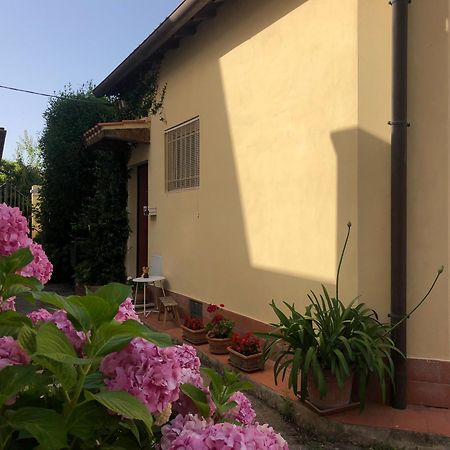 Casina Di Nina Livorno Exterior foto